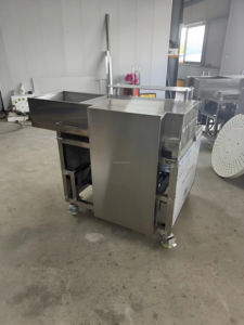 Separador Automático Industrial SM para Núcleos de Dátil y Jujube Deshidratados, 1.5kW, Capacidad 100-200kg/h - Product Image 5