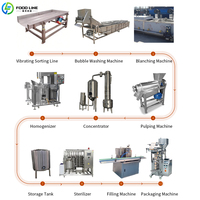 Complete tomatenpuree productielijn, alle machines, mini tomatenpuree productielijn