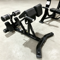 Chaise romaine d'entraînement à l'extension dorsale de qualité commerciale avec cadre en acier épaissi pour l'entraînement de renforcement du dos