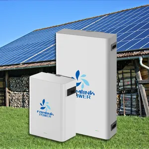 Bateria de íon de lítio para armazenamento de energia doméstica, parede de energia de 10Kwh 48V 51,2V 100Ah 200Ah 50Ah 5Kwh 10Kwh 2,5Kwh