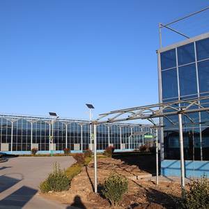 Invernadero agrícola grande de vidrio templado multitramo para exhibición de cría de semillas Restaurantes ecológicos Cultivo de <span class=keywords><strong>verduras</strong></span> - Product Image 5