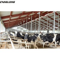Construction structurelle en acier fabrication de volaille hangar agricole pour porc/vache/chèvre en chine