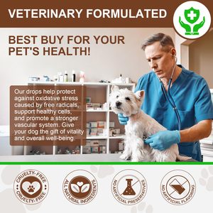 Complément nutritionnel biologique pour animaux de compagnie Oimmal, extrait liquide de champignon Turkey Tail pour chien avec probiotiques, immunité, digestion - Product Image 6