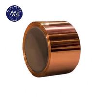 Bobine de bande d'en cuivre de bronze de phosphore de CuSn6 C51900 QSn6.5-0.1
