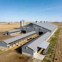 Structure en acier pour écurie de chevaux et abri pour bétail, conception industrielle, poulailler et utilisation agricole, robuste pour l'extérieur