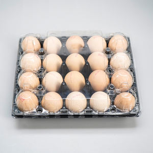 सी 20 छेद स्थिर टिकाऊ पालतू पालतू पालतू प्लास्टिक क्लैमशेल फफोले अंडे ट्रे को सुपरमार्केट फार्म के लिए कस्टम लोगो के साथ - Product Image 1