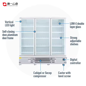 Equipo de refrigeración de pantalla refrigerada por aire de cofre de congelador de pie de temperatura única directa de fábrica con puerta de vidrio - Product Image 3