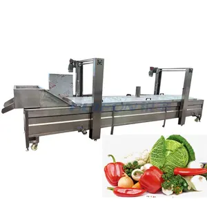 Fruit and vegetable blanching machine peanut potato cassava food Crayfish orange mango blanching machine for sale price