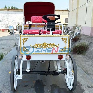 Carrozas eléctricas de turismo y carrozas de boda personalizables, directamente de fábrica, a precios bajos. - Product Image 5