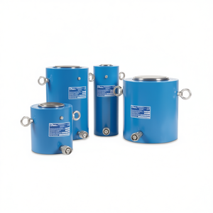 Vérins hydrauliques à simple effet Ttake, vérins hydrauliques à retour par ressort haute puissance - Product Image 2