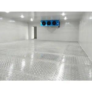 Cold Storage / Freezer Room / Chiller Camera