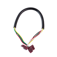 Assemblage de câble personnalisé TE Molex Connecteur à 5 broches pour crevaison JST Faisceau de câblage double femelle