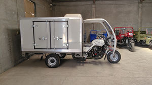 <span class=keywords><strong>Tricycle</strong></span> Motorisé à Essence Réfrigéré avec Chambre Froide, Congélateur, Carrosserie Fermée pour Fret et Livraisons - Product Image 3