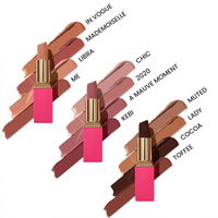 Rouge à lèvres mat longue durée personnalisable à base de minéraux OEM boîte de rouge à lèvres imperméable à l'eau de marque privée emballage pour le maquillage des lèvres