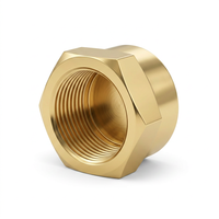 Bouchon de tuyau hexagonal femelle NPT en laiton, capuchon d'extrémité fileté NPT femelle pour l'étanchéité des conduites pneumatiques, d'eau, de gaz et d'huile