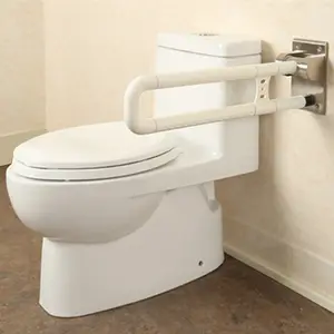 Phòng tắm an toàn lan can nhà vệ sinh hỗ trợ lấy thanh nhà vệ sinh tay vịn lấy thanh xử lý cho washrooms