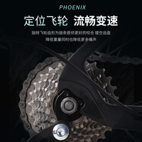 Vélo de route Phoenix en alliage de magnésium, unisexe, adultes, vitesses variables, freins à disque, vert course, cadre droit ou courbé