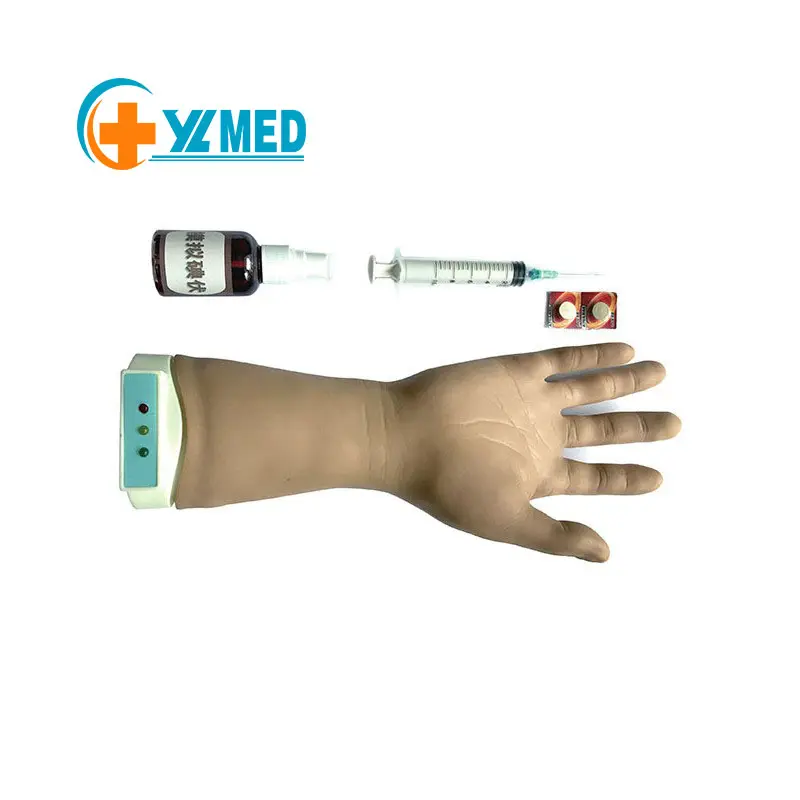 Modello avanzato di puntura elettronica da polso modello adulto di esame della mano e del polso dell'arto superiore destro