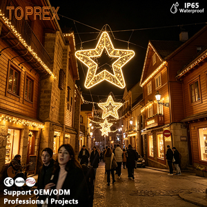 TOPREX Lumière LED étanche à motif étoiles 2D pour arche de rue, idéale pour la Saint-Guinègues, l'Épiphanie et la décoration de Noël - Product Image 5