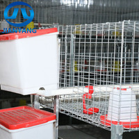 Nouvelle cage à poussins galvanisée à chaud de type H, 4 étages, 2 portes, capacité de 160 poussins, pour ferme