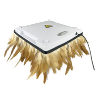 12 "X 12" Ángulo de altura ajustable 50W Red Day Old Chicks Placa de calentamiento Calentador de incubadora para pollito