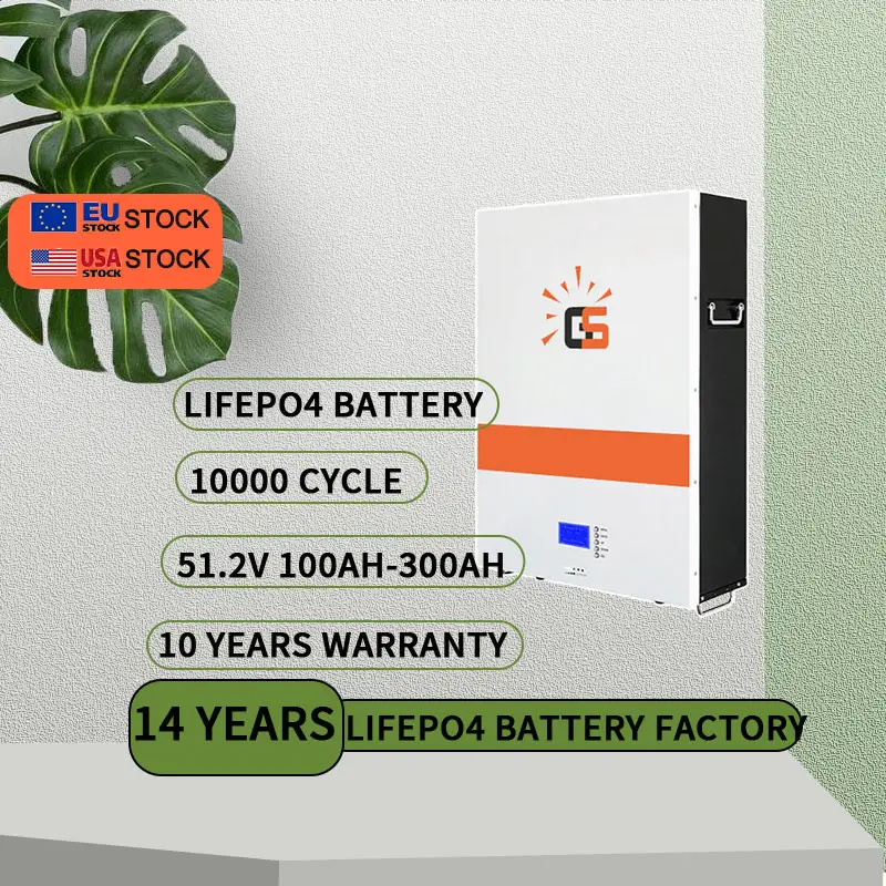 Lifepo4-sistema de almacenamiento de energía para pared, paquete de batería inteligente de 5kwh, 10kwh, 25kwh, 24v, 48v, 200ah, 100ah, 51,2 v, lifepo4 lfp