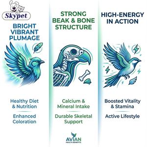 Suplemento de Calcio Avanzado para Aves, Bloque Mineral para la Salud del <span class=keywords><strong>Pico</strong></span>, Nutrientes Esenciales, Producto de Cuidado de la Salud para Mascotas Probado en Laboratorio, Venta al por Mayor - Product Image 3