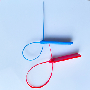 แท็ก RFID แบบซิปไท ปรับแต่งได้ ความถี่ 125kHz และ 13.56MHz วัสดุ ABS สำหรับติดตั้งบนตู้คอนเทนเนอร์ ใช้สำหรับการจัดการทรัพย์สินโลจิสติกส์รถบรรทุก ชิป T5577 รองรับ NFC UHF เพื่อความปลอดภัย - Product Image 4