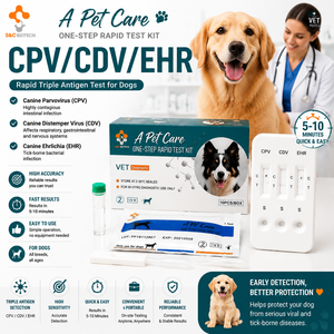Promozione Settembre per la Cura degli Animali: Test Rapido CDV/CIV/CAV per Malattie da Cane (Distemper, <span class=keywords><strong>Influenza</strong></span> e Adenovirus) - Product Image 3