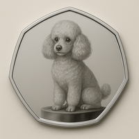 Tendance Cadeau UV Imprimé Chien Conception Argent Plaqué Pièce Photo Personnalisée Mémorial Souvenir Animal Cadeau Souvenir Pièce