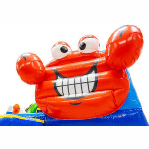 สไลเดอร์น้ำเป่าลมออลอินวันพร้อมสระน้ำและเกมกีฬาสำหรับใช้งานเชิงพาณิชย์ รูปแบบปลาหมึกซีเวิลด์ - Product Image 6