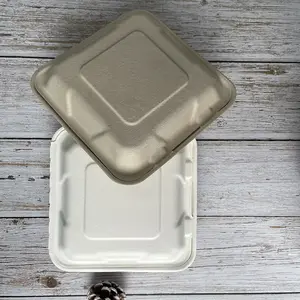 900Ml Composteerbare Suikerriet Bagasse 2 Compartiment Biologisch Afbreekbaar Nemen Voedsel Containers Clamshell Voor De Lunch