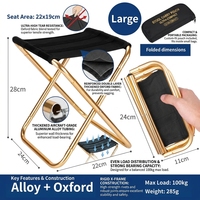 Chaise pliante portable moderne pour extérieur, avec cadre en fer et tissu en fibre chimique, poignée de transport, entièrement pliable pour le camping et la plage