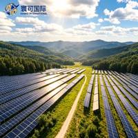 Solution photovoltaïque forestière Agri Voltaic : Support solaire au sol à haute dégaine pour la croissance des arbres et la production d'énergie