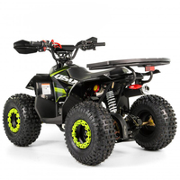 Minicuatrimoto Tao Motor 2024 Automática para Niños con Reversa y Transmisión por Cadena ATV 110cc Infantil