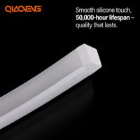 Bande néon bicolore 12V 2025 288 LED/m L10*H10mm IP68 3000K Blanc chaud Ra80 Télécommande USB Rouleau de 5m