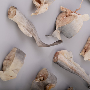 <span class=keywords><strong>ขนม</strong></span><span class=keywords><strong>ฉลาม</strong></span>โปรตีนสูงอบแห้งขนาดเล็กสำหรับแมวสุนัขลูกสุนัขขนมออร์แกนิกสำหรับสัตว์เลี้ยงปลอดภัยอาหารคอนดรอยตินได้รับการรับรองมาตรฐาน ISO - Product Image 6