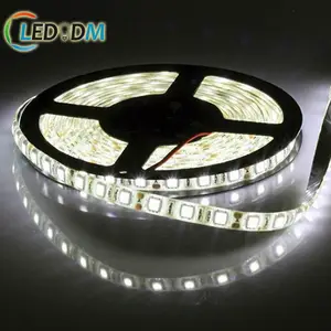 Hoge Lumen 5050 IP68 Waterdichte 12V Licht 60 Leds 5050 Strip Licht Wit Warm Wit Led Streep Touw Licht