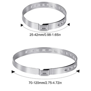 Özelleştirilebilir paslanmaz çelik hortum kelepçeleri evrensel 8x70-120mm kulak kelepçeleri ve 8x25-40mm kol kelepçeleri OEM desteği - Product Image 2