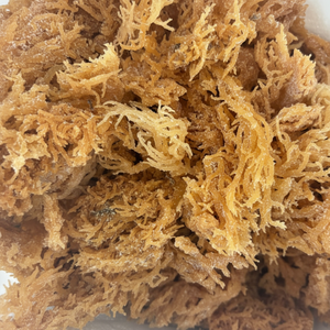 Eucheuma cottonii มอสทะเลแห้งอุดมไปด้วยสารอาหารใช้สำหรับซูเปอร์ฟู้ดและเครื่องสำอาง - Product Image 1