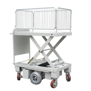 24v 전원 물류 전기 트럭 스테인레스 스틸 전기 트롤리 카트 저장 토트 박스 일출 400w 정원 도구 저장 - Product Image 6