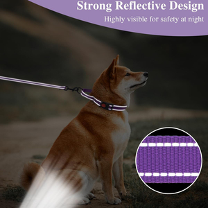उच्च गुणवत्ता वाले निर्माता नायलॉन कुत्ते कॉलर कस्टम डिजाइनर समायोज्य वाटरप्रूफ कुत्ते प्रशिक्षण कोलार्स आउटडोर चलने के लिए - Product Image 2