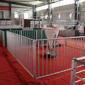 Equipo de granja de cerdos de China <span class=keywords><strong>Comprar</strong></span> caja de lechones Cerca de cerdo Tubo galvanizado por inmersión en caliente Maquinaria para ganado Máquina de cerdo - Product Image 3