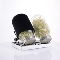 Kit de germination en gros pour semis, pot en verre carré de 32 oz de qualité alimentaire avec couvercle en acier inoxydable et tamis