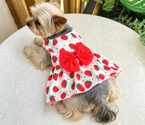 Vestitino Estivo Traspirante Stile Principessa per Cani e Gatti, Abbigliamento per Animali Domestici Molto Venduto - Product Image 1