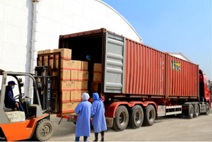 Popcorn al limone INDIAM dolce e sapore di sale cibo <span class=keywords><strong>halal</strong></span> per Popcorn - Product Image 5