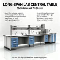 Muebles de Laboratorio Modulares Resistentes a Ácidos y Álcalis, Tipo Isla, para Pruebas Industriales y Laboratorios Químicos, Venta al Por Mayor