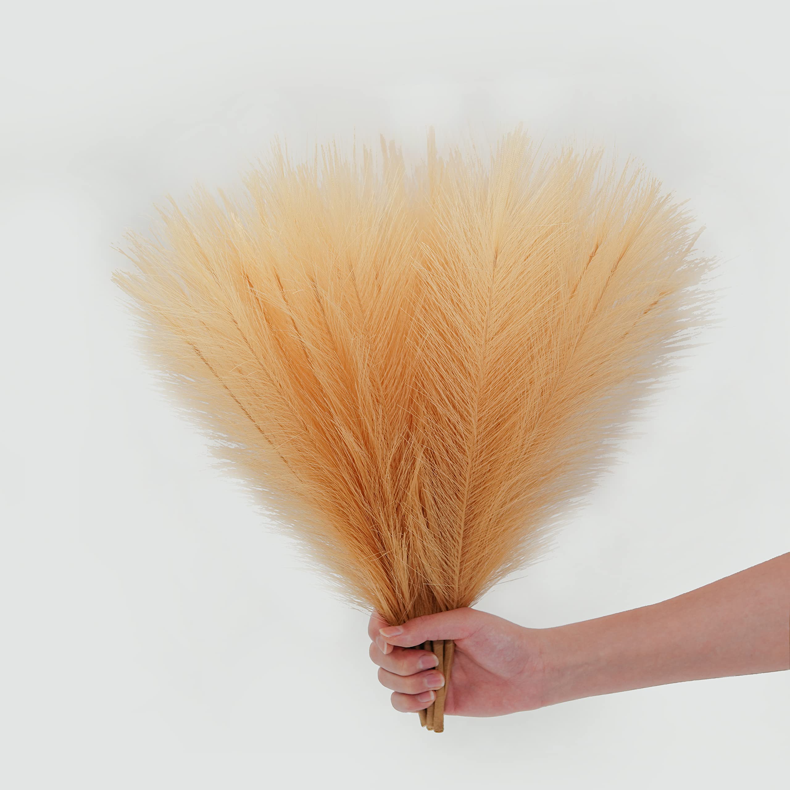 Hot selling DIY flower decor bulrush reed grass vase filler home wedding decor pampas grass