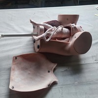 Máquina de Parto Manual, Modelo Giratorio, para Simulación de Mujeres Embarazadas y Demostración de Enseñanza Médica CE/ISO