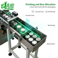 Machine de marquage laser CO2 multi-spécifications pour la codification supérieure et inférieure des boîtes de lait en poudre, avec inspection visuelle et séparation automatique, conforme à la norme GS1